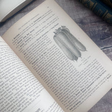 Load image into Gallery viewer, 1900 My Gardener A Practical Handbook for the Million by H W Ward
