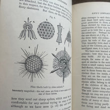 Load image into Gallery viewer, 1929 Life and Her Children by Arabella Buckley Illustrated Book
