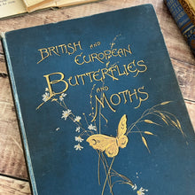 Load image into Gallery viewer, British and European Butterflies and Moths ... Colour Illustrations
