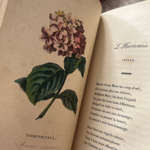 Load image into Gallery viewer, 1839 Nouveau Langage Des Fleurs; Quarter Leather Book with Hand Coloured Plates
