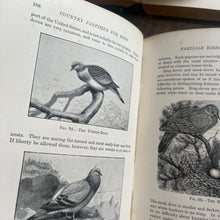 Load image into Gallery viewer, 1895 Country Pastimes for Boys Illustrated Nature Book
