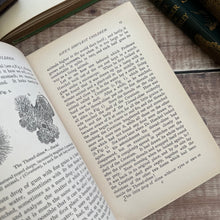Load image into Gallery viewer, 1901 Life and Her Children by Arabella Buckley Illustrated Antique Book
