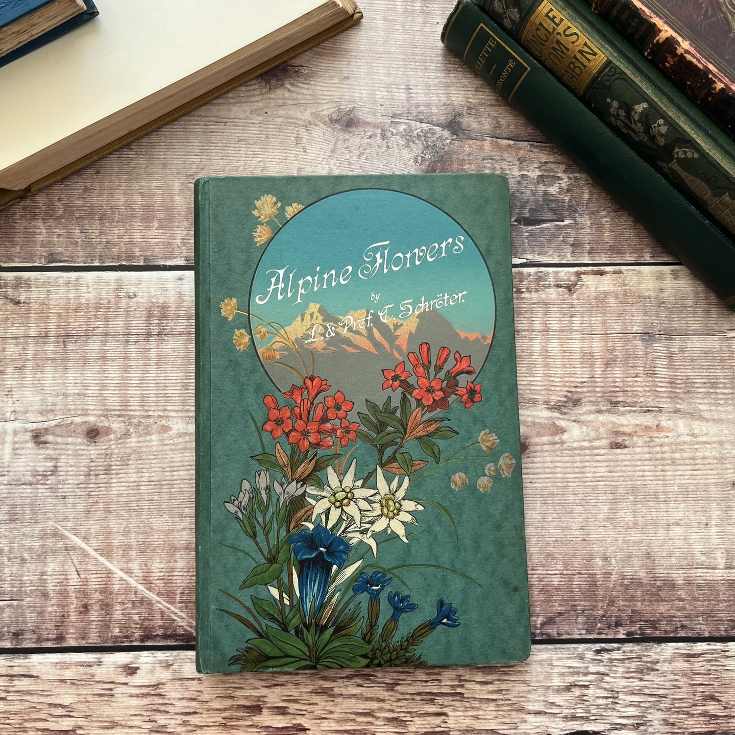 Alpine flowers by L & Prof Dr. C Schroter Antique Illustrated Book Beautiful Binding