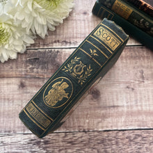 Load image into Gallery viewer, 1877 The Poetical Works of Sir Walter Scott Illustrated Mid Victorian Book
