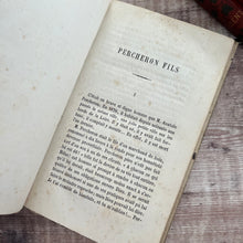 Load image into Gallery viewer, 1875 Romantic and Beautiful French Cartonnage Binding; Percheron Fils
