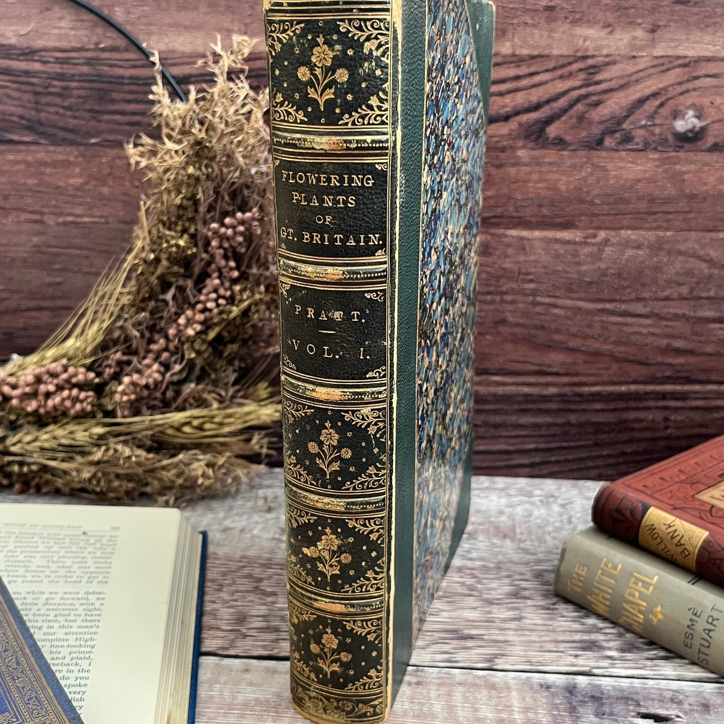 Flowers Plants Of Great Britain by Anne Pratt Volume One Half Morocco Binding