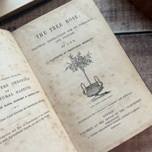Load image into Gallery viewer, 1845 The Tree Rose  The Tree Rose; Illustrated with Woodcuts
