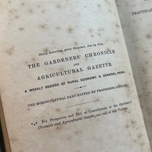 Load image into Gallery viewer, 1845 The Tree Rose  The Tree Rose; Illustrated with Woodcuts
