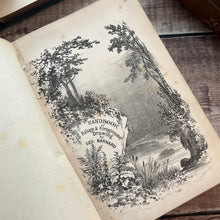 Load image into Gallery viewer, 1876 Hand Book of Foliage and Foreground Drawing; Illustrated Mid Victorian Book

