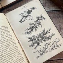 Load image into Gallery viewer, 1876 Hand Book of Foliage and Foreground Drawing; Illustrated Mid Victorian Book
