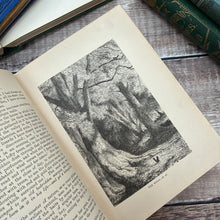 Load image into Gallery viewer, A Tour Round my Garden Translated by Rev J G Wood; Illustrated Victorian Natural History Book
