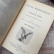 Load image into Gallery viewer, 1888 Social Habitations by Rev J G Wood; Victorian Illustrated Book
