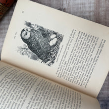Load image into Gallery viewer, 1864 Our Garden Friends and Foes by Rev J G Wood; Illustrated Victorian Natural History Book
