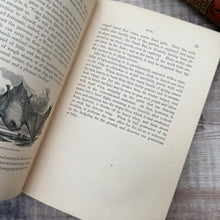 Load image into Gallery viewer, 1864 Our Garden Friends and Foes by Rev J G Wood; Illustrated Victorian Natural History Book
