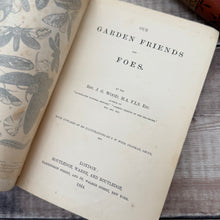 Load image into Gallery viewer, 1864 Our Garden Friends and Foes by Rev J G Wood; Illustrated Victorian Natural History Book

