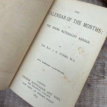 Load image into Gallery viewer, 1873 The Calendar of the Months or The Young Naturalist Abroad by Rev J G Wood; Mid Victorian Illustrated Book
