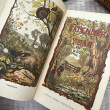 Load image into Gallery viewer, 1873 The Calendar of the Months or The Young Naturalist Abroad by Rev J G Wood; Mid Victorian Illustrated Book
