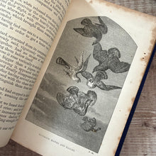 Load image into Gallery viewer, 1858 My Feathered Friends by Rev J G Wood; Illustrated Victorian Natural History Book
