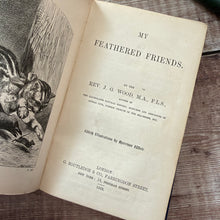Load image into Gallery viewer, 1858 My Feathered Friends by Rev J G Wood; Illustrated Victorian Natural History Book
