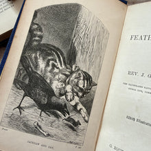 Load image into Gallery viewer, 1858 My Feathered Friends by Rev J G Wood; Illustrated Victorian Natural History Book
