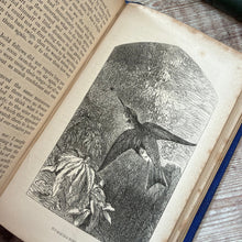 Load image into Gallery viewer, 1858 My Feathered Friends by Rev J G Wood; Illustrated Victorian Natural History Book
