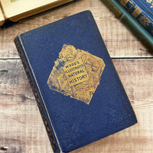 Load image into Gallery viewer, 1853 The Illustrated Natural History by Rev J G Wood; Mid Victorian Book
