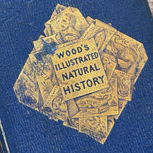 Load image into Gallery viewer, 1853 The Illustrated Natural History by Rev J G Wood; Mid Victorian Book
